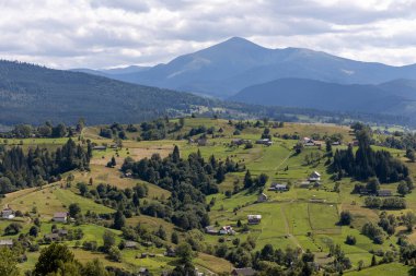 Bir yaz günü Ukrayna Karpatları 'nda dağ panoraması.