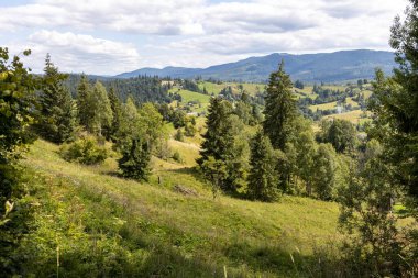 Bir yaz günü Ukrayna Karpatları 'nda dağ panoraması.