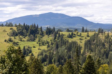 Bir yaz günü Ukrayna Karpatları 'nda dağ panoraması.