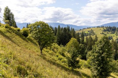 Bir yaz günü Ukrayna Karpatları 'nda dağ panoraması.