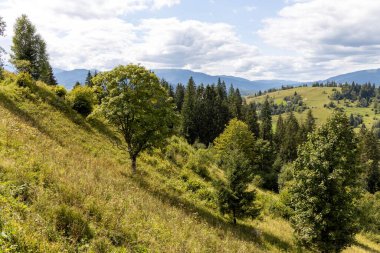 Bir yaz günü Ukrayna Karpatları 'nda dağ panoraması.