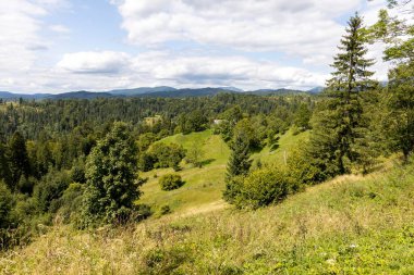 Bir yaz günü Ukrayna Karpatları 'nda dağ panoraması.