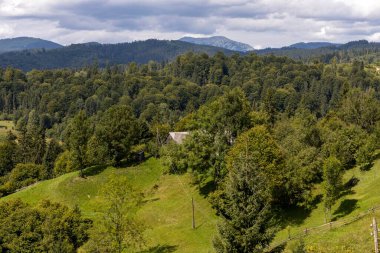 Bir yaz günü Ukrayna Karpatları 'nda dağ panoraması.