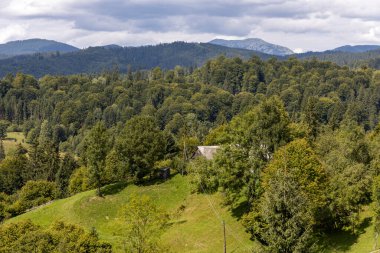 Bir yaz günü Ukrayna Karpatları 'nda dağ panoraması.