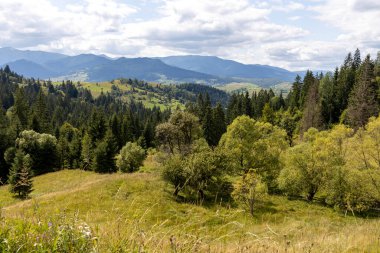 Bir yaz günü Ukrayna Karpatları 'nda dağ panoraması.