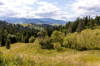 Bir yaz günü Ukrayna Karpatları 'nda dağ panoraması.