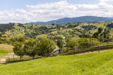 Bir yaz günü Ukrayna Karpatları 'nda dağ panoraması.