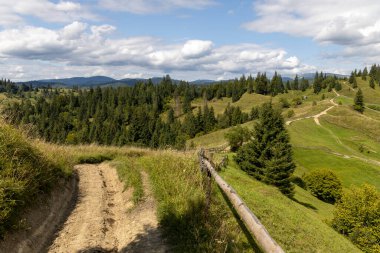 Bir yaz günü Ukrayna Karpatları 'nda toprak dağ yolu.