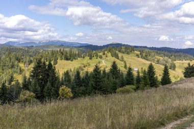 Bir yaz günü Ukrayna Karpatları 'nda dağ panoraması.
