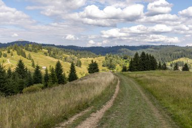 Bir yaz günü Ukrayna Karpatları 'nda toprak dağ yolu.