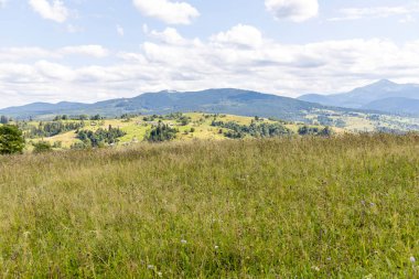 Bir yaz günü Ukrayna Karpatları 'nda dağ panoraması.