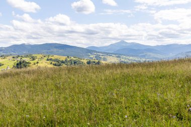 Bir yaz günü Ukrayna Karpatları 'nda dağ panoraması.
