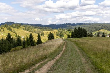 Bir yaz günü Ukrayna Karpatları 'nda toprak dağ yolu.