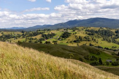 Bir yaz günü Ukrayna Karpatları 'nda dağ panoraması.