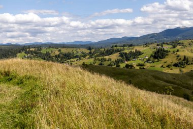 Bir yaz günü Ukrayna Karpatları 'nda dağ panoraması.