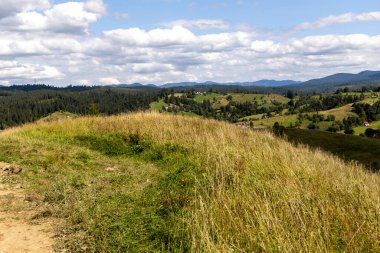 Bir yaz günü Ukrayna Karpatları 'nda dağ panoraması.