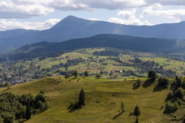 Bir yaz günü Ukrayna Karpatları 'nda dağ panoraması.