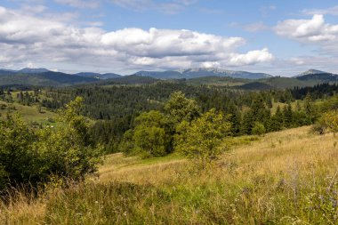 Bir yaz günü Ukrayna Karpatları 'nda dağ panoraması.