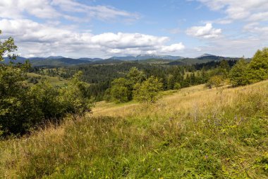 Bir yaz günü Ukrayna Karpatları 'nda dağ panoraması.