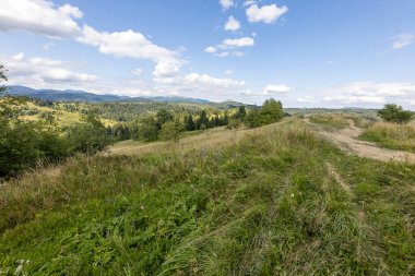 Bir yaz günü Ukrayna Karpatları 'nda dağ panoraması.