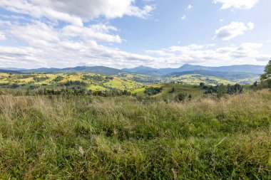 Bir yaz günü Ukrayna Karpatları 'nda dağ panoraması.