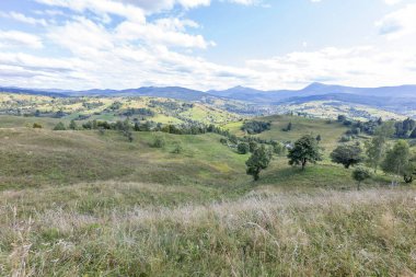 Bir yaz günü Ukrayna Karpatları 'nda dağ panoraması.