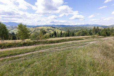 Bir yaz günü Ukrayna Karpatları 'nda dağ panoraması.