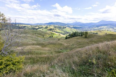 Bir yaz günü Ukrayna Karpatları 'nda dağ panoraması.