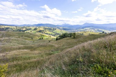 Bir yaz günü Ukrayna Karpatları 'nda dağ panoraması.