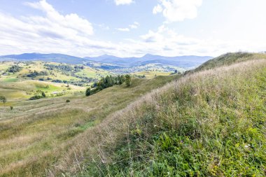 Bir yaz günü Ukrayna Karpatları 'nda dağ panoraması.