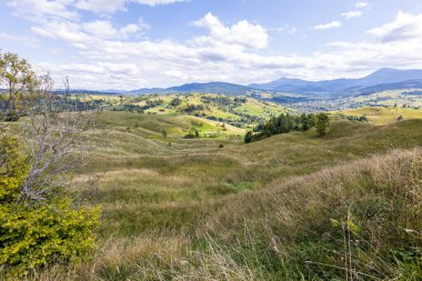 Bir yaz günü Ukrayna Karpatları 'nda dağ panoraması.