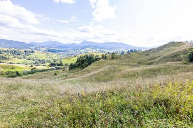 Bir yaz günü Ukrayna Karpatları 'nda dağ panoraması.