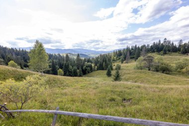 Bir yaz günü Ukrayna Karpatları 'nda dağ panoraması.