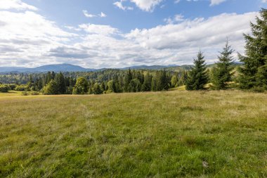 Bir yaz günü Ukrayna Karpatları 'nda dağ panoraması.