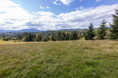 Bir yaz günü Ukrayna Karpatları 'nda dağ panoraması.