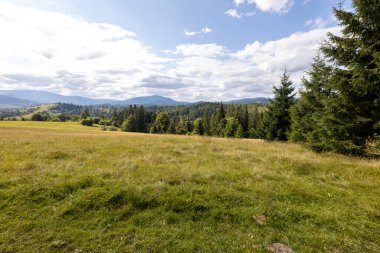 Bir yaz günü Ukrayna Karpatları 'nda dağ panoraması.