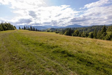 Bir yaz günü Ukrayna Karpatları 'nda dağ panoraması.