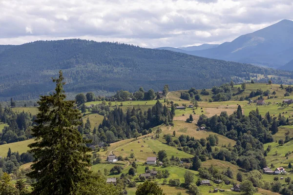 Bir yaz günü Ukrayna Karpatları 'nda dağ panoraması.