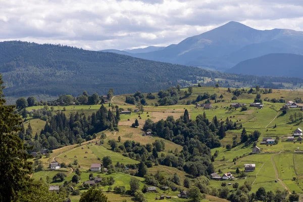 Bir yaz günü Ukrayna Karpatları 'nda dağ panoraması.