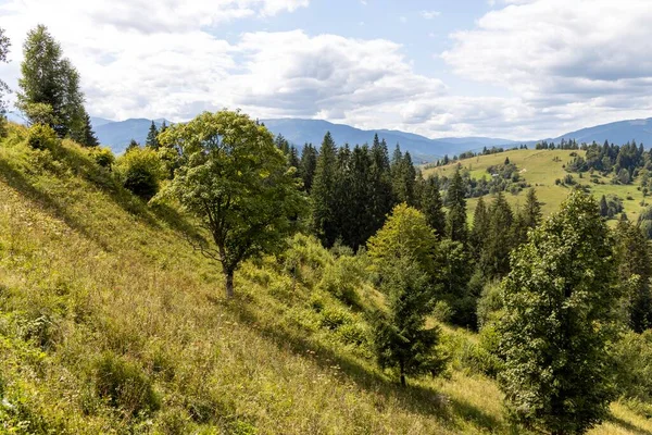 Bir yaz günü Ukrayna Karpatları 'nda dağ panoraması.