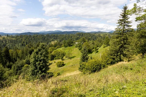 Bir yaz günü Ukrayna Karpatları 'nda dağ panoraması.