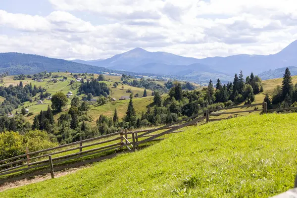 Bir yaz günü Ukrayna Karpatları 'nda dağ panoraması.