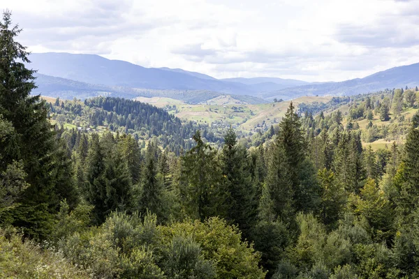 Bir yaz günü Ukrayna Karpatları 'nda dağ panoraması.