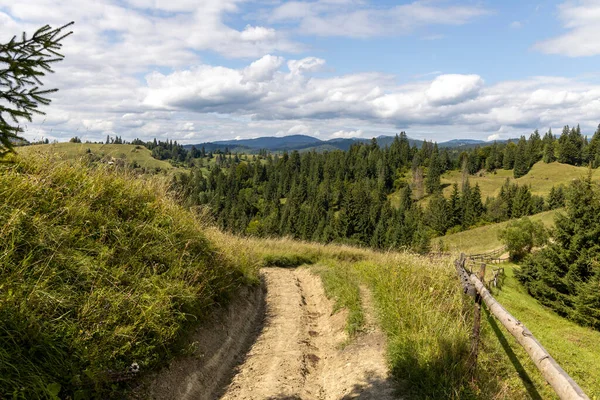 Bir yaz günü Ukrayna Karpatları 'nda toprak dağ yolu.