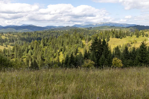 Bir yaz günü Ukrayna Karpatları 'nda dağ panoraması.
