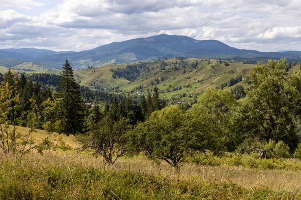 Bir yaz günü Ukrayna Karpatları 'nda dağ panoraması.