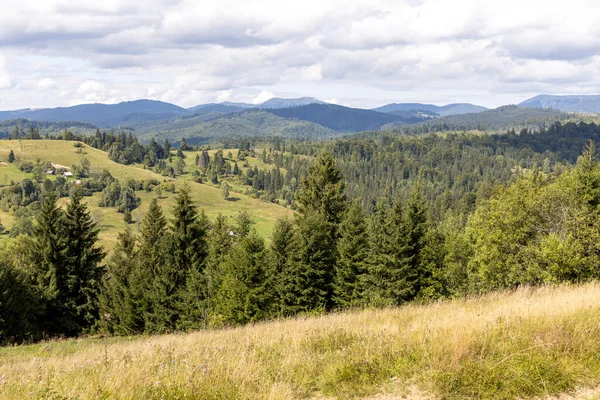 Bir yaz günü Ukrayna Karpatları 'nda dağ panoraması.