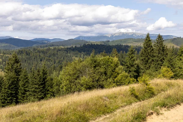 Bir yaz günü Ukrayna Karpatları 'nda dağ panoraması.