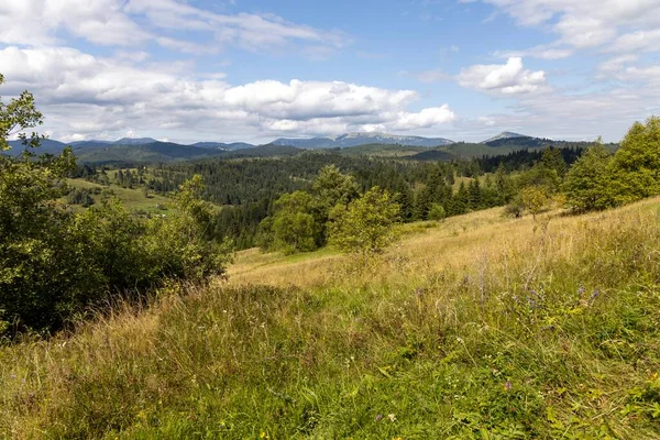Bir yaz günü Ukrayna Karpatları 'nda dağ panoraması.