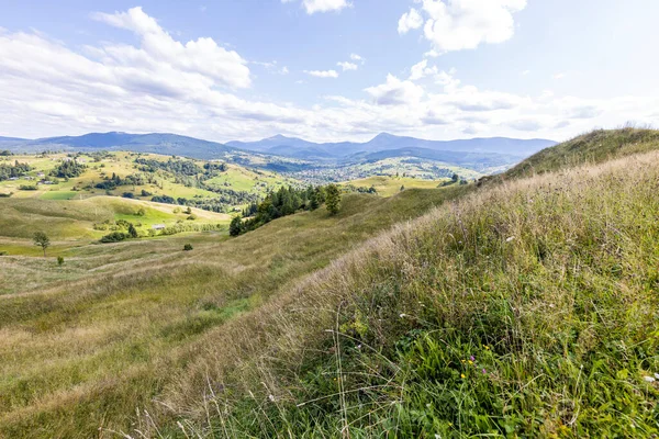 Bir yaz günü Ukrayna Karpatları 'nda dağ panoraması.